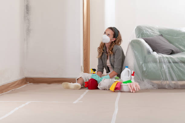 Reliable Mold Cleanup contractor in Farmington, MI by WQB Mold Removal
